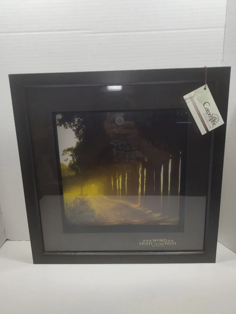 Carpentree Your Word Is A Light To My Path Framed Wall Art Psalm 119:105